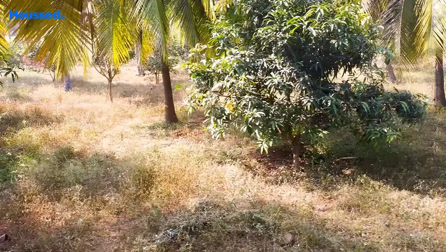 Project Image of Housing Plot/Residential Land for Resale in Bheemili - Image 96250