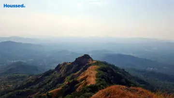 Project Image of Housing Plot/Residential Land for Resale in Mopa, Goa - Image 99171
