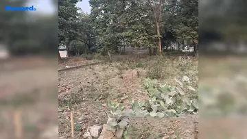 Project Image of Housing Plot/Residential Land for Resale in Vadsar, Vadodara - Image 103423
