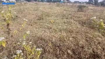 Project Image of Housing Plot/Residential Land for Resale in Adgaon, Nashik - Image 104482