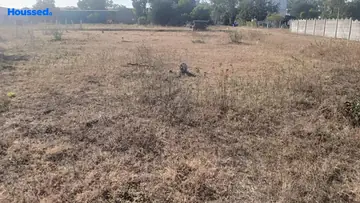 Project Image of Housing Plot/Residential Land for Resale in Adgaon, Nashik - Image 104550