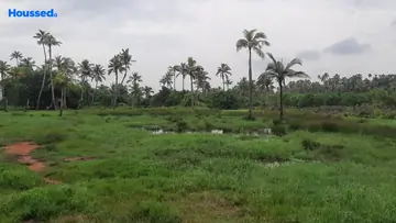 Project Image of Housing Plot/Residential Land for Resale in Panagad, Kochi - Image 104763