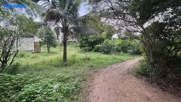 Amenities of Housing Plot/Residential Land for Resale in Morabadi, Ranchi - Image 105660