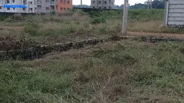 Project Image of Housing Plot/Residential Land for Resale in Pundag, Ranchi - Image 105565