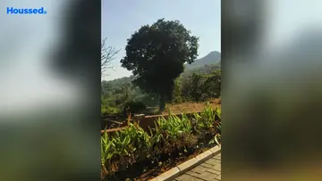 Project Image of Housing Plot/Residential Land for Resale in Synergy Satvam Hills B7 Mulshi, Pune - Image 107715