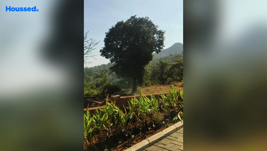 Project Image of Housing Plot/Residential Land for Resale in Synergy Satvam Hills B7, Mulshi - Image 107715