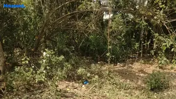 Project Image of Housing Plot/Residential Land for Resale in Margao, Goa - Image 114240