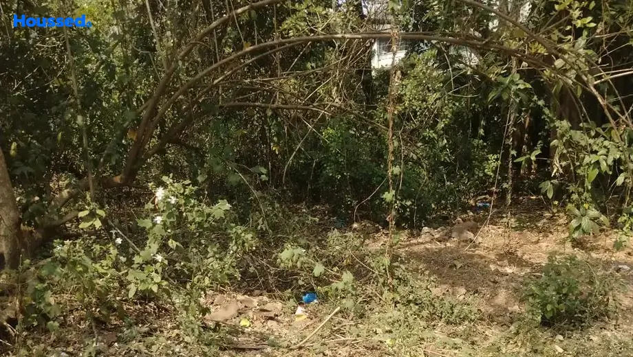 Project Image of Housing Plot/Residential Land for Resale in Margao - Image 114240