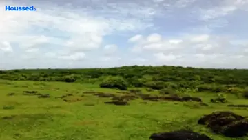 Sample Apartment of Housing Plot/Residential Land for Resale in Morjim, Goa - Image 115526
