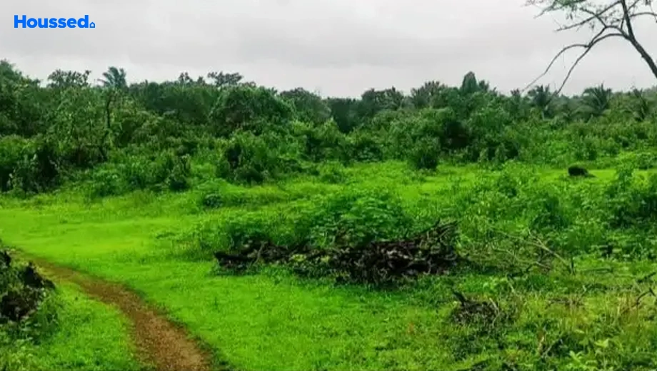 Sample Apartment of Housing Plot/Residential Land for Resale in Raia - Image 115527