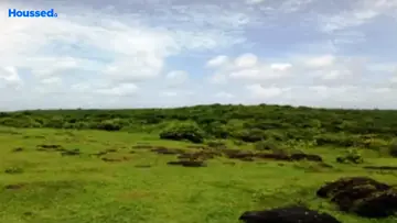 Sample Apartment of Housing Plot/Residential Land for Resale in Colvale, Goa - Image 115608