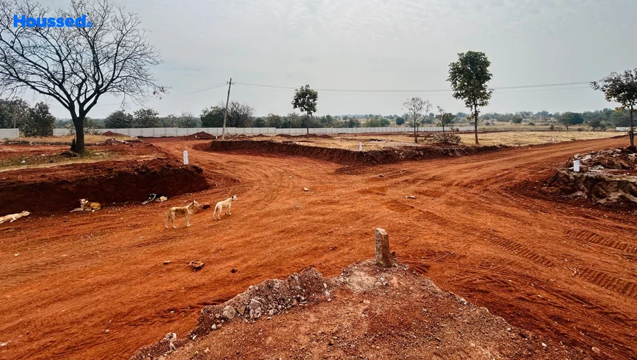 Project Image of Housing Plot/Residential Land for Resale in Shankarpally - Image 115876