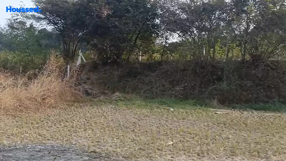 Project Image of Agriculture Land for Resale in Igatpuri - Image 116539