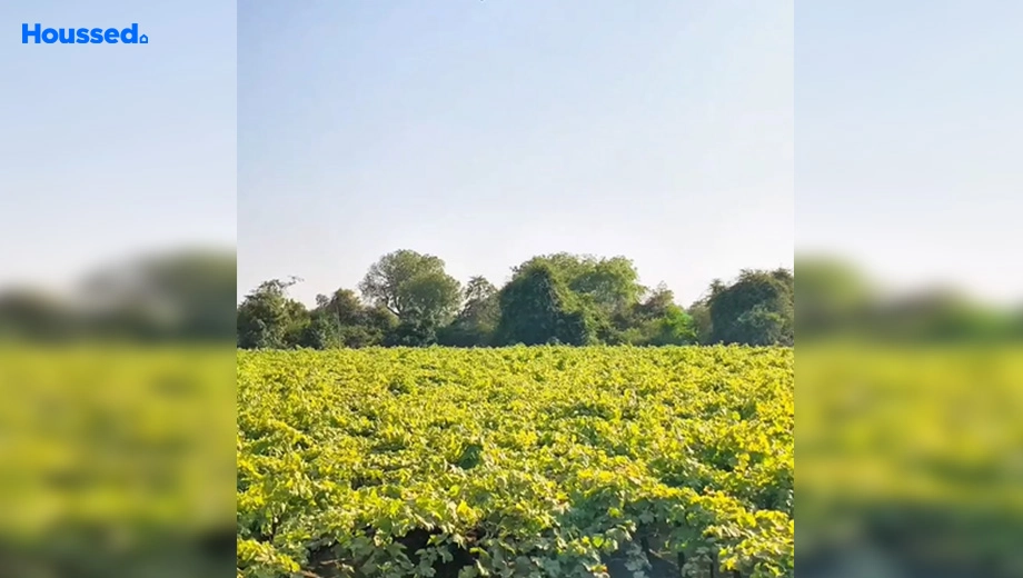 Project Image of Housing Plot/Residential Land for Resale in Adgaon - Image 118150
