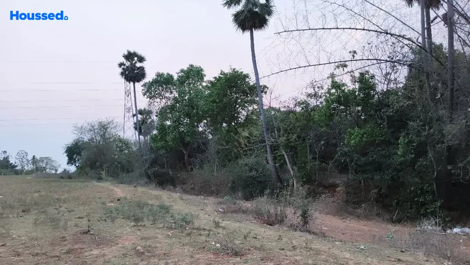 Project Image of Agriculture Land for Resale in Kothavalasa - Image 118481