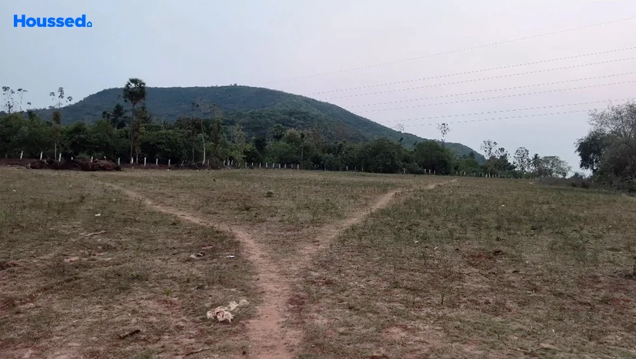 Project Image of Agriculture Land for Resale in Kothavalasa - Image 118480