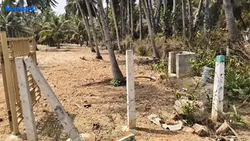 Project Image of Agriculture Land for Resale in Thagarapuvalasa, Visakhapatnam - Image 118509