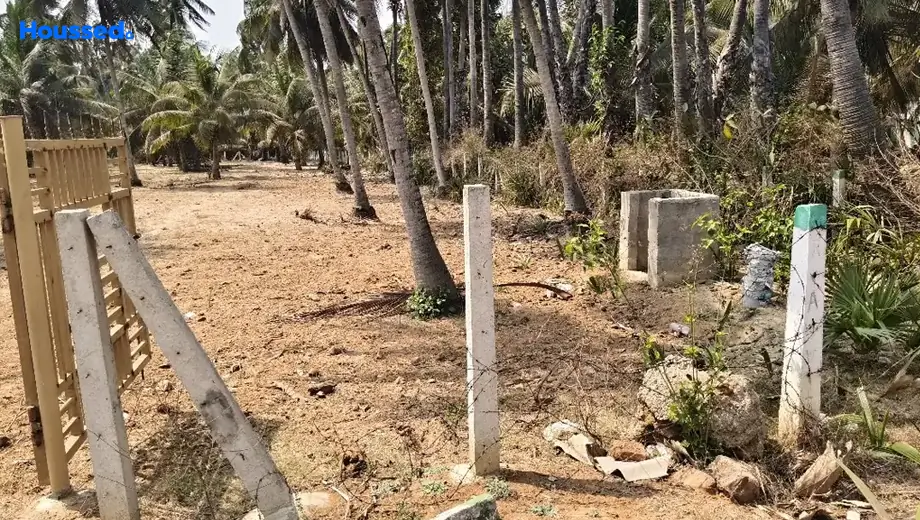 Project Image of Agriculture Land for Resale in Thagarapuvalasa - Image 118509