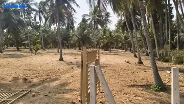 Project Image of Agriculture Land for Resale in Thagarapuvalasa, Visakhapatnam - Image 118508