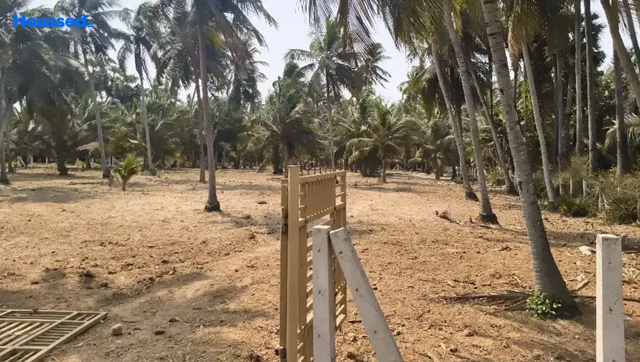 Project Image of Agriculture Land for Resale in Thagarapuvalasa - Image 118508