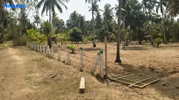 Project Image of Agriculture Land for Resale in Thagarapuvalasa, Visakhapatnam - Image 118507