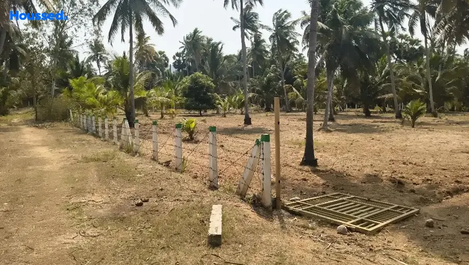 Project Image of Agriculture Land for Resale in Thagarapuvalasa - Image 118507