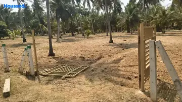 Project Image of Agriculture Land for Resale in Thagarapuvalasa, Visakhapatnam - Image 118510