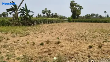 Project Image of Agriculture Land for Resale in Korada, Visakhapatnam - Image 118534