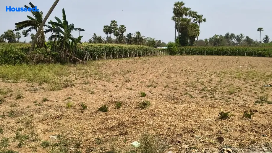 Project Image of Agriculture Land for Resale in Korada - Image 118534