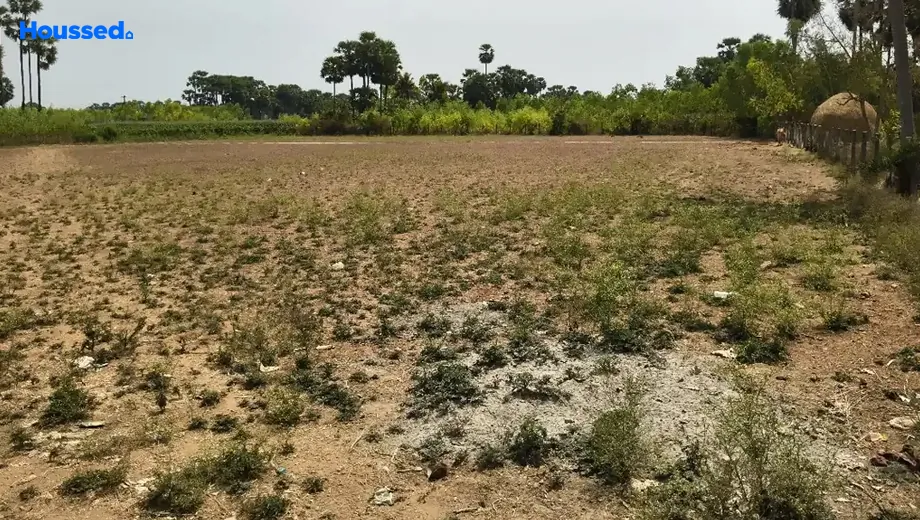 Project Image of Agriculture Land for Resale in Korada - Image 118535