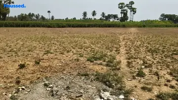 Project Image of Agriculture Land for Resale in Korada, Visakhapatnam - Image 118533