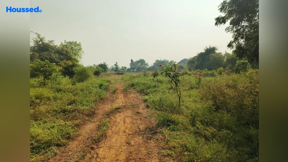 Project Image of Housing Plot/Residential Land for Resale in Bhayli - Image 118587