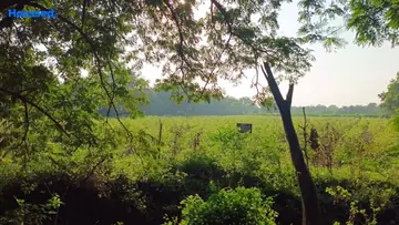 Project Image of Housing Plot/Residential Land for Resale in Bhayli, Vadodara - Image 118606