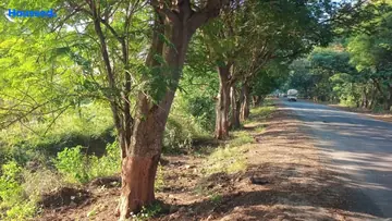 Project Image of Housing Plot/Residential Land for Resale in Bhayli, Vadodara - Image 118607