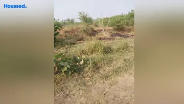 Project Image of Commercial Land for Resale in Waghodia Road, Vadodara - Image 118608