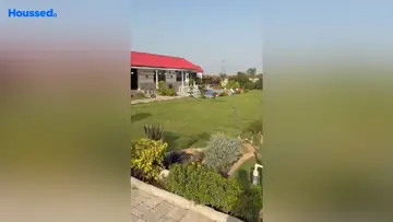 Project Image of Agriculture Land for Resale in Farukh Nagar, Gurgaon - Image 118835