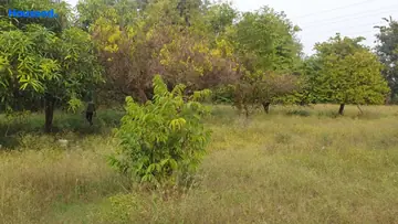 Project Image of Commercial Land for Resale in Akota, Vadodara - Image 118935