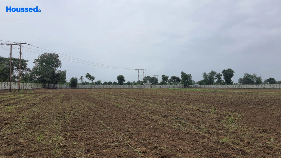 Project Image of Agriculture Land for Resale in Umeta - Image 118936