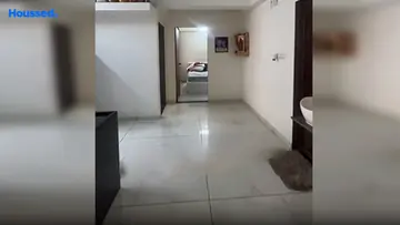 Project Image of 2 BHK Flat for Resale in Nikol, Ahmedabad - Image 119223