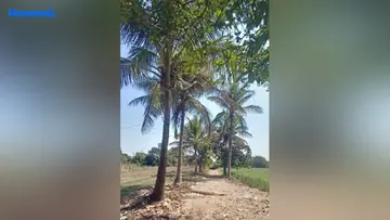 Project Image of Housing Plot/Residential Land for Resale in Makhmalabad, Nashik - Image 119320