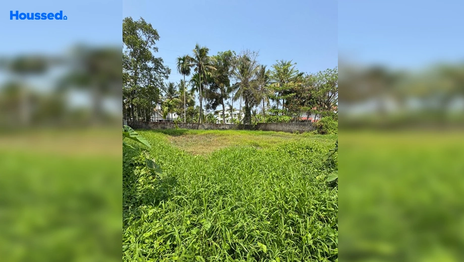 Project Image of Housing Plot/Residential Land for Resale in Ernakulam - Image 121613