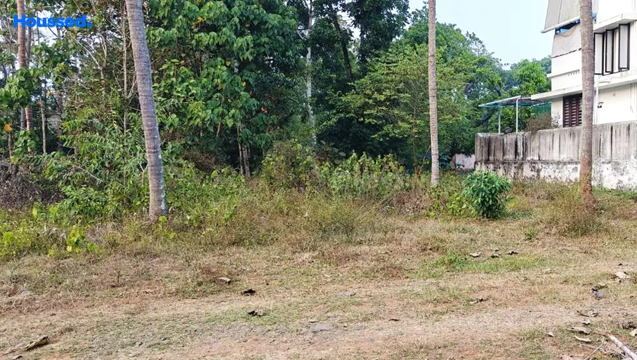 Project Image of Housing Plot/Residential Land for Resale in Angamaly - Image 122406