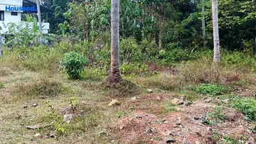 Project Image of Housing Plot/Residential Land for Resale in Angamaly, Kochi - Image 122408