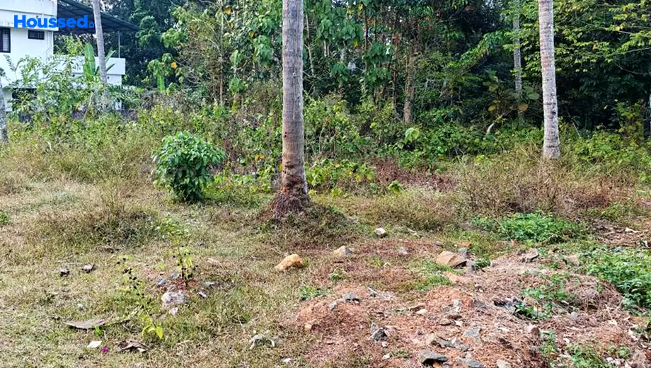 Project Image of Housing Plot/Residential Land for Resale in Angamaly - Image 122408