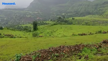 Sample Apartment of Agriculture Land for Resale in Igatpuri, Nashik - Image 17656