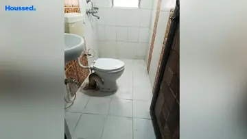 Project Image of 2 BHK Flat for Rent in Jain Dream Residency Manor Rajarhat, Kolkata - Image 125261