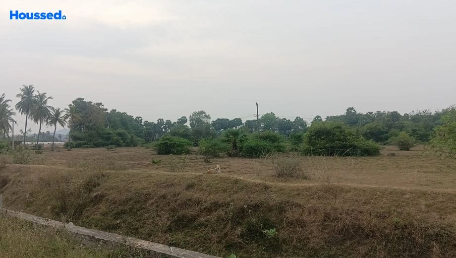 Project Image of Housing Plot/Residential Land for Resale in Thiruporur - Image 125598