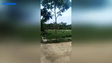 Project Image of Housing Plot/Residential Land for Resale in Kengeri, Bangalore - Image 2464