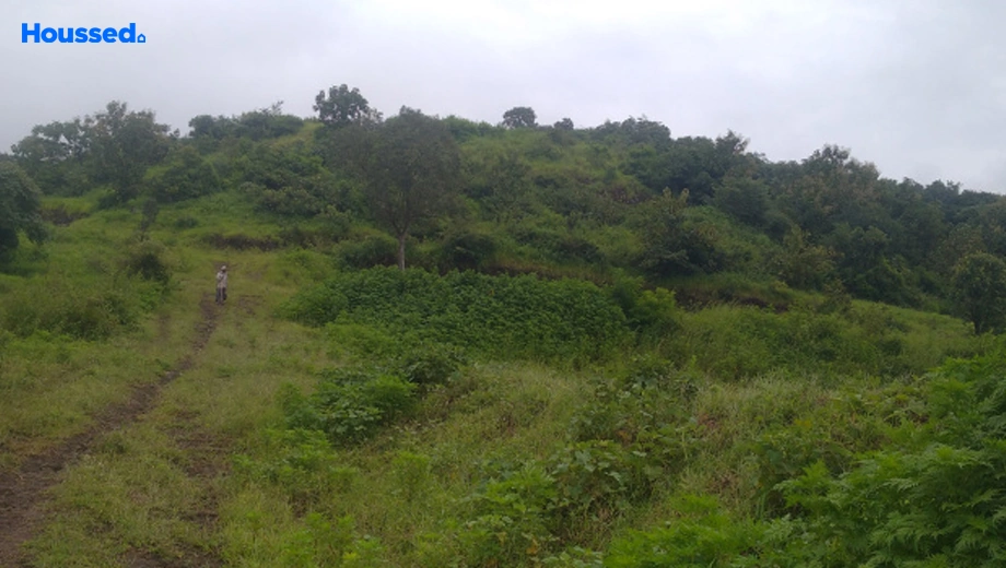 Project Image of Agriculture Land for Resale in Pimpri Chinchwad - Image 125828