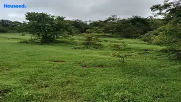 Project Image of Agriculture Land for Resale in Khed Shivapur, Pune - Image 125895